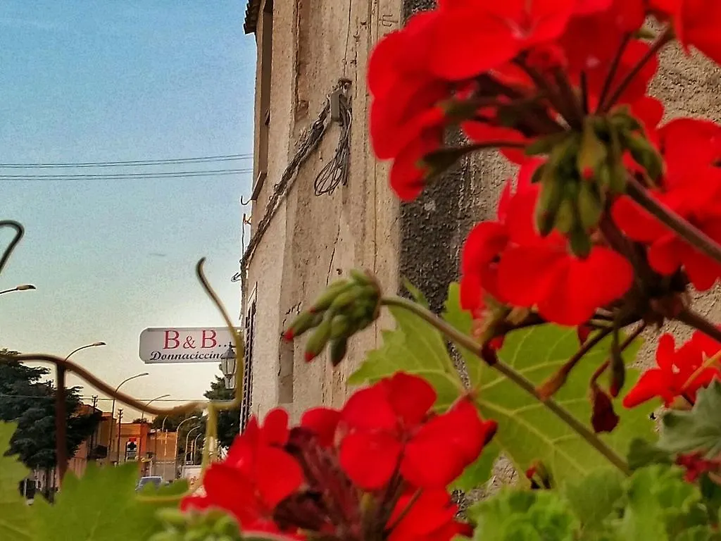 Bed and Breakfast Donnaciccinatrapani Rilievo
